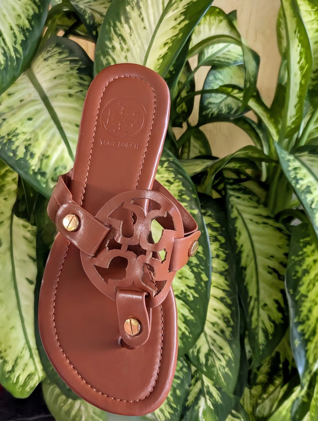 Fashion Branded Style Sandals